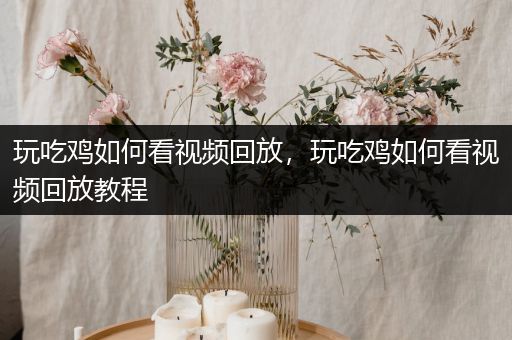 玩吃鸡如何看视频回放，玩吃鸡如何看视频回放教程