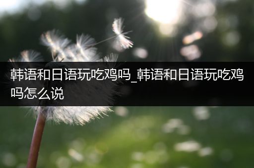 韩语和日语玩吃鸡吗_韩语和日语玩吃鸡吗怎么说