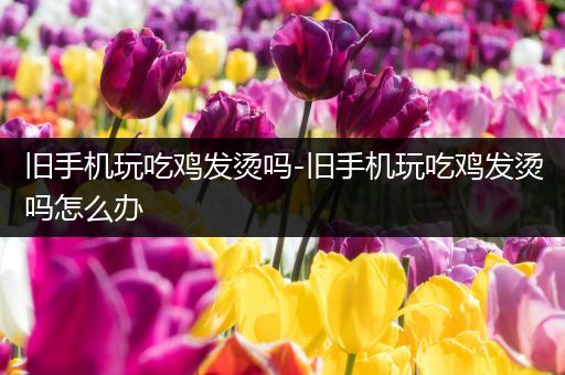 旧手机玩吃鸡发烫吗-旧手机玩吃鸡发烫吗怎么办