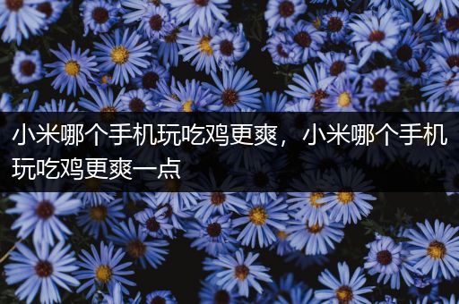 小米哪个手机玩吃鸡更爽，小米哪个手机玩吃鸡更爽一点