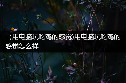 （用电脑玩吃鸡的感觉)用电脑玩吃鸡的感觉怎么样