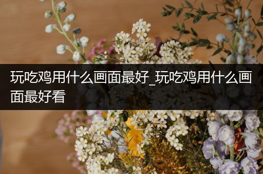 玩吃鸡用什么画面最好_玩吃鸡用什么画面最好看