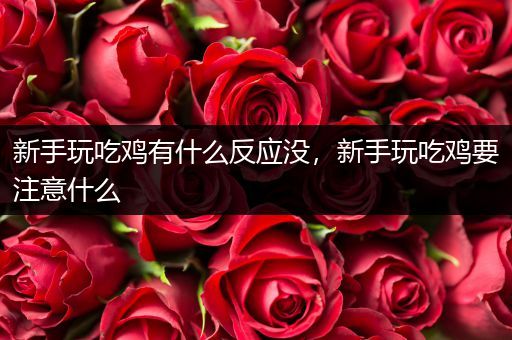 新手玩吃鸡有什么反应没，新手玩吃鸡要注意什么