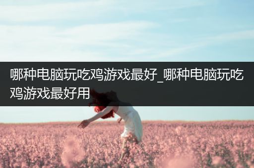 哪种电脑玩吃鸡游戏最好_哪种电脑玩吃鸡游戏最好用