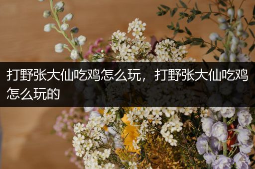 打野张大仙吃鸡怎么玩，打野张大仙吃鸡怎么玩的