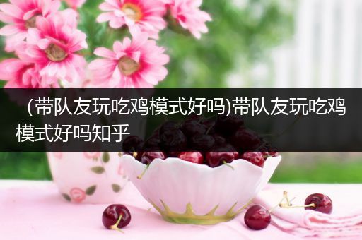 （带队友玩吃鸡模式好吗)带队友玩吃鸡模式好吗知乎