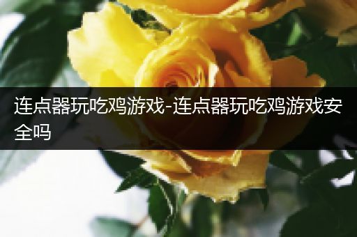 连点器玩吃鸡游戏-连点器玩吃鸡游戏安全吗