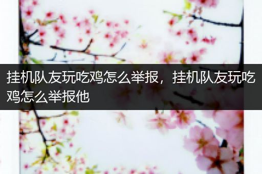 挂机队友玩吃鸡怎么举报，挂机队友玩吃鸡怎么举报他