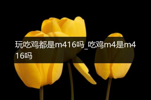 玩吃鸡都是m416吗_吃鸡m4是m416吗