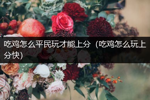 吃鸡怎么平民玩才能上分（吃鸡怎么玩上分快）
