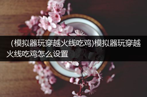 （模拟器玩穿越火线吃鸡)模拟器玩穿越火线吃鸡怎么设置