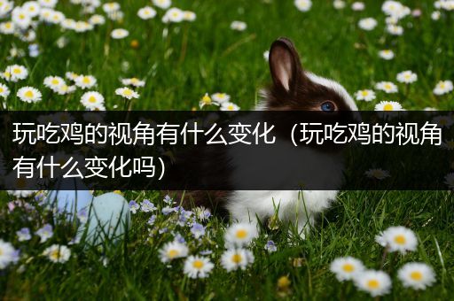 玩吃鸡的视角有什么变化（玩吃鸡的视角有什么变化吗）