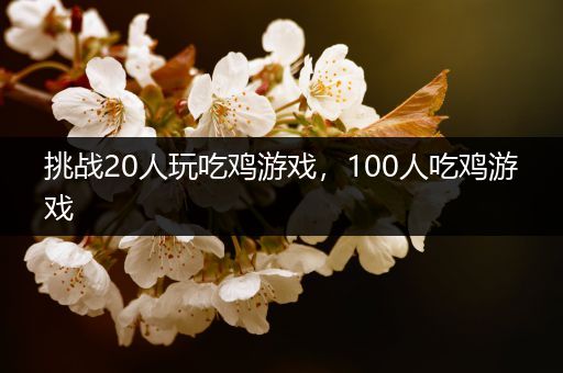 挑战20人玩吃鸡游戏，100人吃鸡游戏