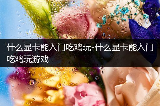 什么显卡能入门吃鸡玩-什么显卡能入门吃鸡玩游戏