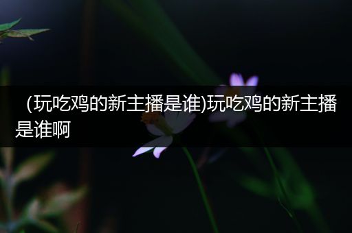 （玩吃鸡的新主播是谁)玩吃鸡的新主播是谁啊