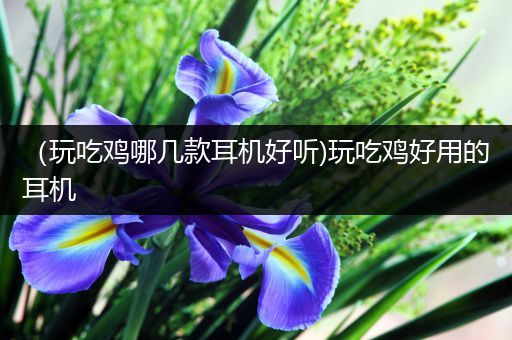 （玩吃鸡哪几款耳机好听)玩吃鸡好用的耳机