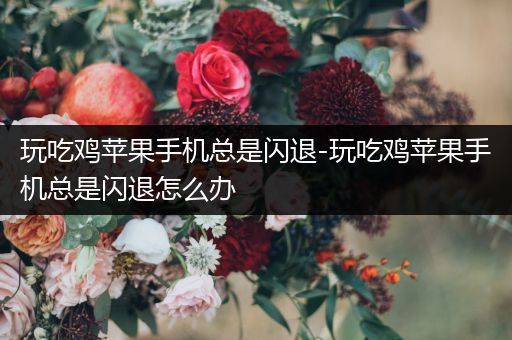 玩吃鸡苹果手机总是闪退-玩吃鸡苹果手机总是闪退怎么办