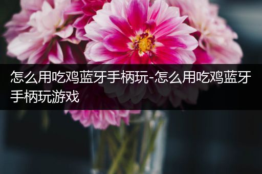 怎么用吃鸡蓝牙手柄玩-怎么用吃鸡蓝牙手柄玩游戏