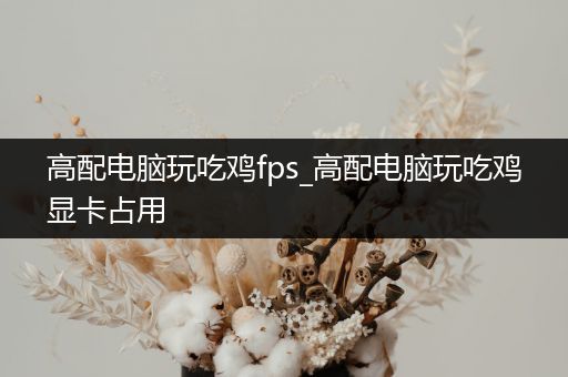 高配电脑玩吃鸡fps_高配电脑玩吃鸡显卡占用