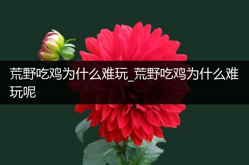 荒野吃鸡为什么难玩_荒野吃鸡为什么难玩呢