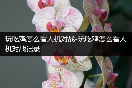 玩吃鸡怎么看人机对战-玩吃鸡怎么看人机对战记录