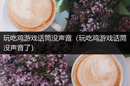 玩吃鸡游戏话筒没声音（玩吃鸡游戏话筒没声音了）