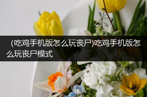 （吃鸡手机版怎么玩丧尸)吃鸡手机版怎么玩丧尸模式