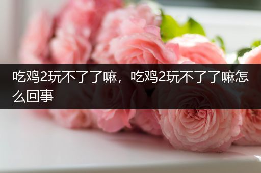 吃鸡2玩不了了嘛，吃鸡2玩不了了嘛怎么回事