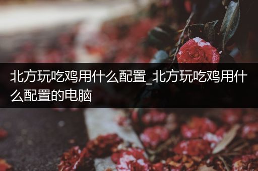 北方玩吃鸡用什么配置_北方玩吃鸡用什么配置的电脑