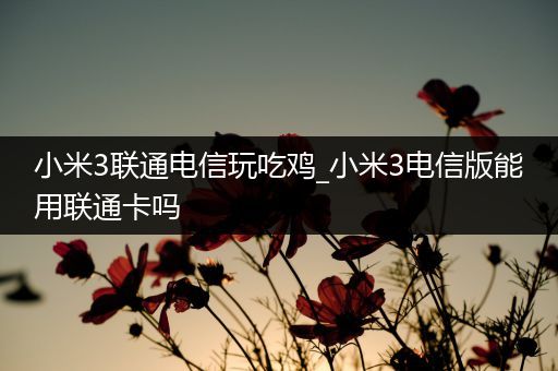 小米3联通电信玩吃鸡_小米3电信版能用联通卡吗