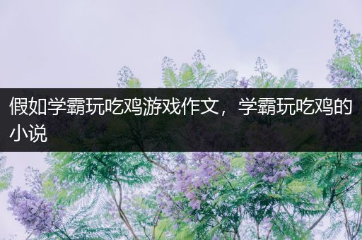假如学霸玩吃鸡游戏作文，学霸玩吃鸡的小说