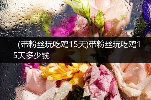 （带粉丝玩吃鸡15天)带粉丝玩吃鸡15天多少钱