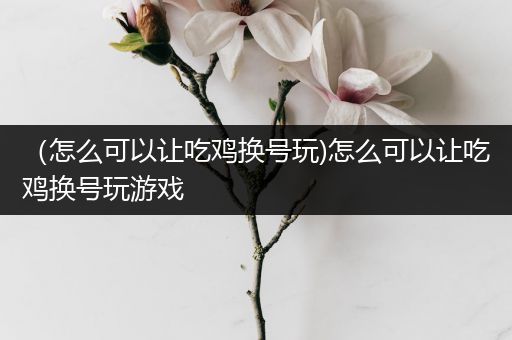 （怎么可以让吃鸡换号玩)怎么可以让吃鸡换号玩游戏