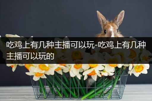 吃鸡上有几种主播可以玩-吃鸡上有几种主播可以玩的