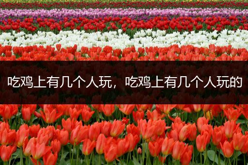 吃鸡上有几个人玩，吃鸡上有几个人玩的