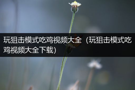 玩狙击模式吃鸡视频大全（玩狙击模式吃鸡视频大全下载）