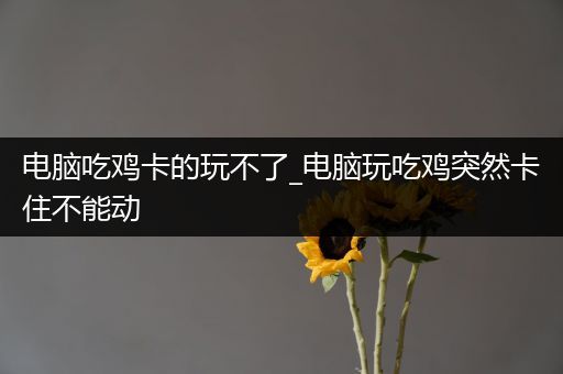 电脑吃鸡卡的玩不了_电脑玩吃鸡突然卡住不能动