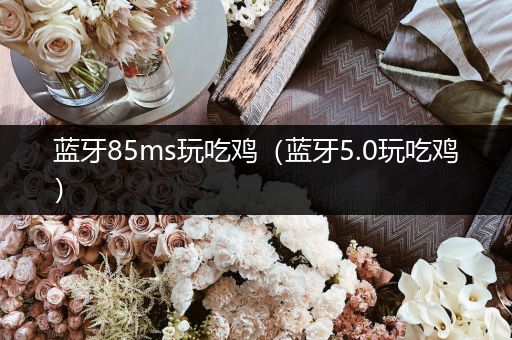 蓝牙85ms玩吃鸡（蓝牙5.0玩吃鸡）