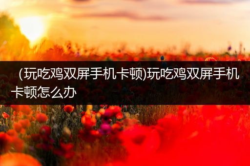 （玩吃鸡双屏手机卡顿)玩吃鸡双屏手机卡顿怎么办