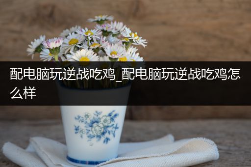 配电脑玩逆战吃鸡_配电脑玩逆战吃鸡怎么样