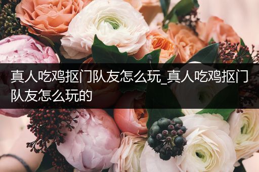 真人吃鸡抠门队友怎么玩_真人吃鸡抠门队友怎么玩的