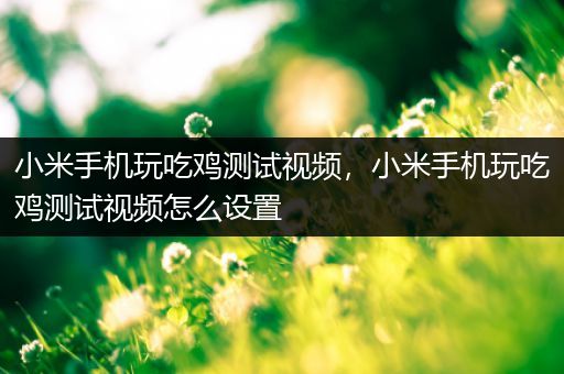 小米手机玩吃鸡测试视频，小米手机玩吃鸡测试视频怎么设置
