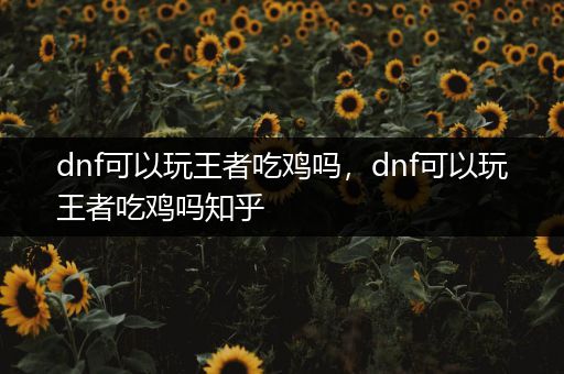 dnf可以玩王者吃鸡吗，dnf可以玩王者吃鸡吗知乎