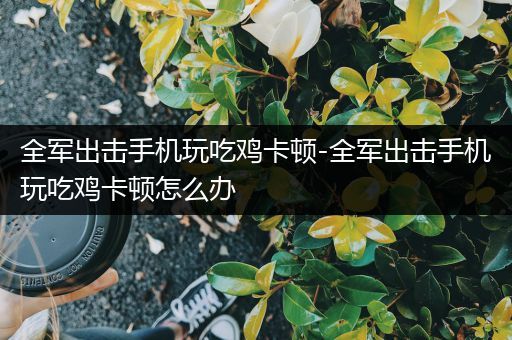全军出击手机玩吃鸡卡顿-全军出击手机玩吃鸡卡顿怎么办