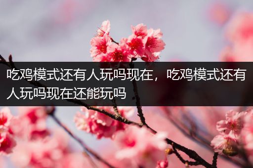 吃鸡模式还有人玩吗现在，吃鸡模式还有人玩吗现在还能玩吗