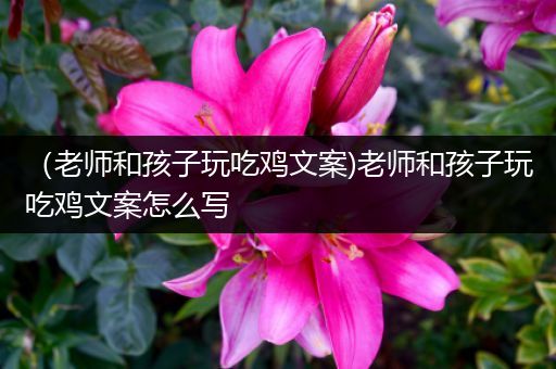 （老师和孩子玩吃鸡文案)老师和孩子玩吃鸡文案怎么写