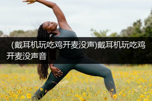 （戴耳机玩吃鸡开麦没声)戴耳机玩吃鸡开麦没声音