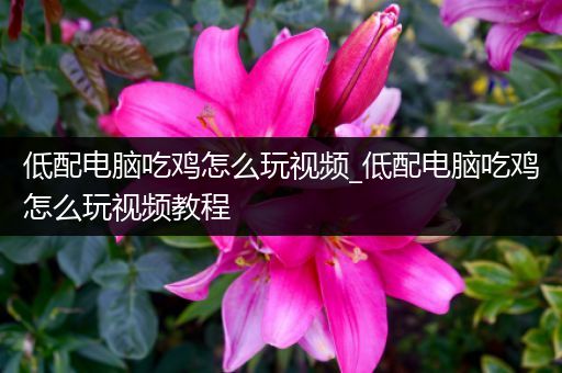 低配电脑吃鸡怎么玩视频_低配电脑吃鸡怎么玩视频教程