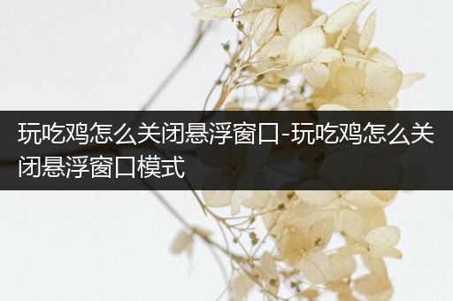 玩吃鸡怎么关闭悬浮窗口-玩吃鸡怎么关闭悬浮窗口模式