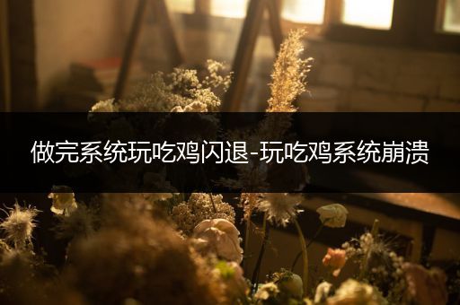 做完系统玩吃鸡闪退-玩吃鸡系统崩溃